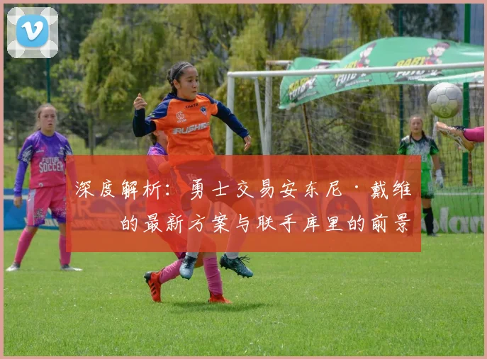深度解析:勇士交易安东尼·戴维斯的最新方案与联手库里的前景